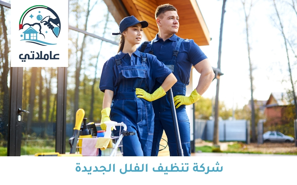 شركة تنظيف الفلل الجديدة