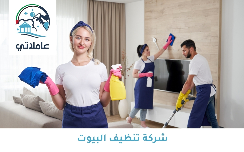 شركة تنظيف البيوت