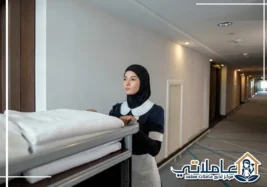 تدبير دبي